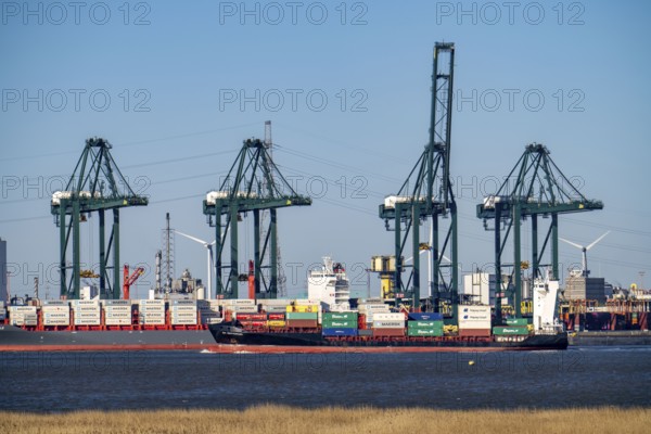 The port of Antwerp, on the Scheldt, is the second largest seaport in Europe, Container Terminal