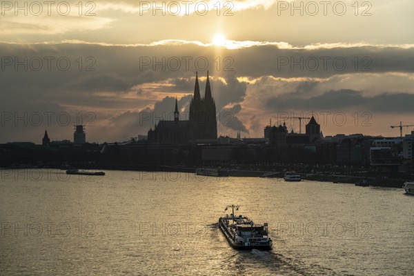 The Rhine near Cologne, sunset, Cologne Cathedral, cargo ship, North Rhine-Westphalia, Germany,