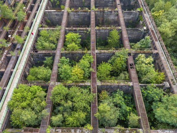 Duisburg-Nord Landscape Park, former Thyssen steelworks, closed in 1985, since then trees have been