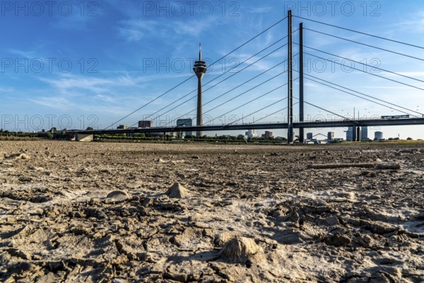 Rhine near Düsseldorf, extremely low water, Rhine level at 81 cm, falling, after a long drought the
