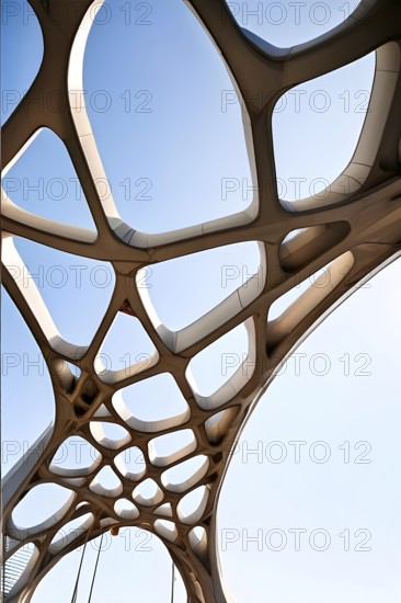 Modern bridge design of a network of interconnected shapes inspired by the structure of spider