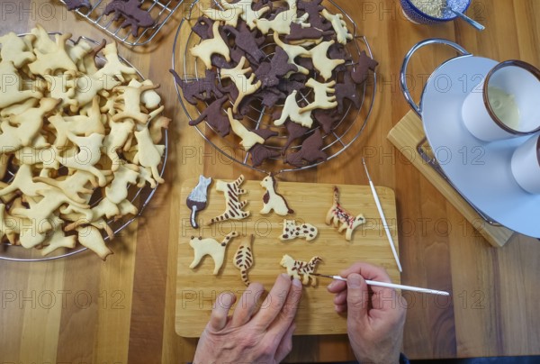 Swabian cuisine, Swabian Christmas biscuits, cookie cutters, shortbread biscuits painted with