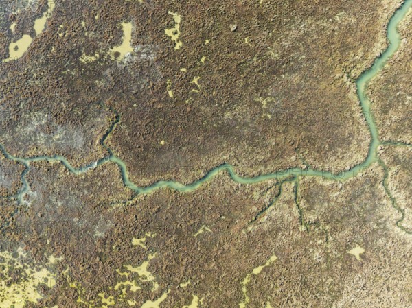 Marshland at low tide. Nature Reserve La Breña y Marismas del Barbate. Aerial view. Drone shot.