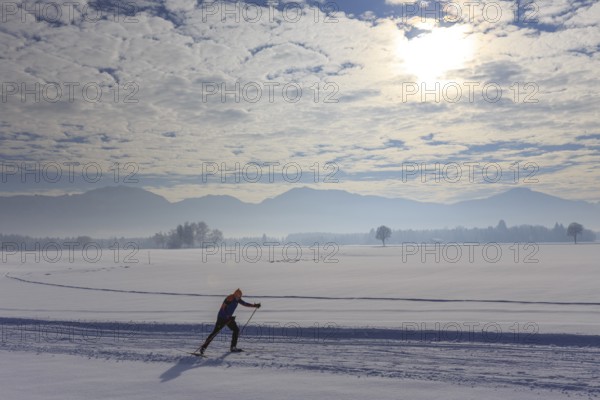 Cross-country skier, man, adult, on cross-country trail in front of mountains, snow, winter, Tölzer