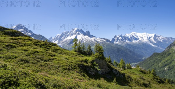 Mountain panorama with glaciated mountain peaks, Aiguille Verte with Aiguille du Midi and Mont
