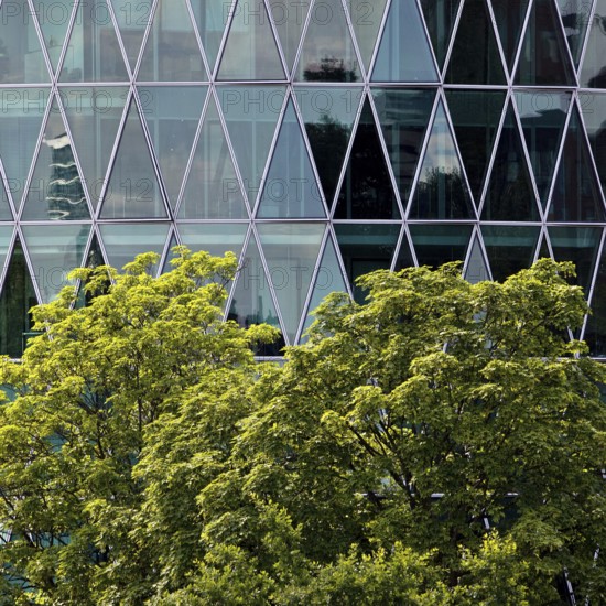 Green tree in front of the Westhafen Tower with a diamond-shaped, petrol-coloured façade structure