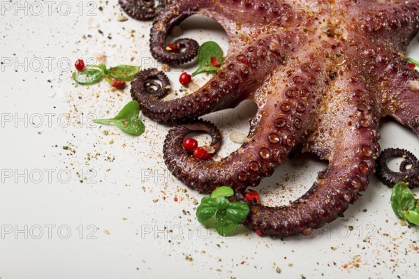 Boiled octopus, close-up, rustic style, no people, top view, close-up