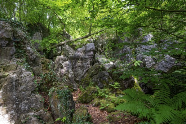 The Felsenmeer in Hemer, Sauerland, geotope, with rugged rock formations, nature reserve, North