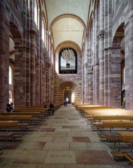 Imperial Cathedral, dThe cathedral of Speyer with the main organ, interior view, Speyer,