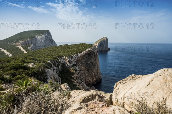Coast with steep cliffs, Capo Caccia, near Alghero, Sardinia, Italy, Europe