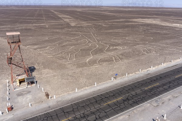 Aerial, The Tree, Nazca geoglyph, Nazca Lines, Nazca, Peru, South America