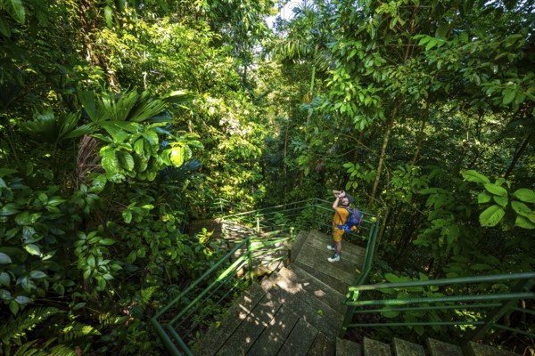 Tourist on the way in the rainforest to Cerro Tortuguero, Tortuguero National Park, Costa Rica,