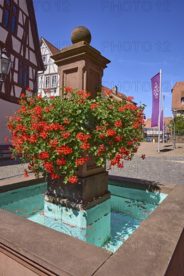 Fountain with geraniums on the church square in Michelstadt, Odenwald, Odenwaldkreis, Hesse,