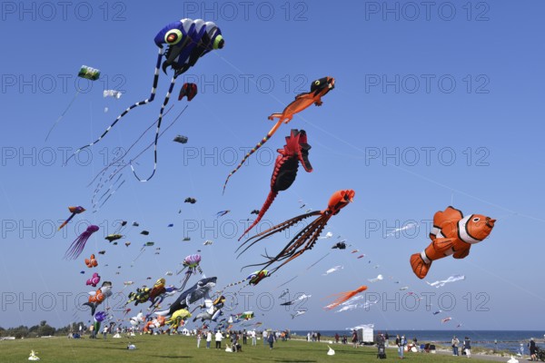 Kite festival, flying kites on Schönberg beach, Schleswig-Holstein, Germany, Europe
