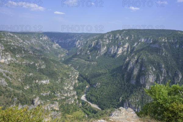 View from Point Sublime into the Tarn Gorge, Massegros Causses Gorges, Département Lozère, France,