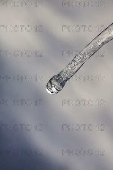 Single icicle, macro, unusually cold winter 2010, symbol photo winter weather, sub-zero