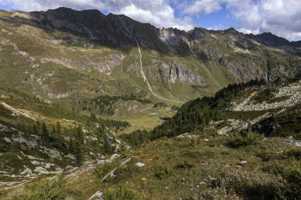View of the Sambuco valley, Vale Sambuco, and Ticino mountains, near Fusio, Lavizzara, Canton