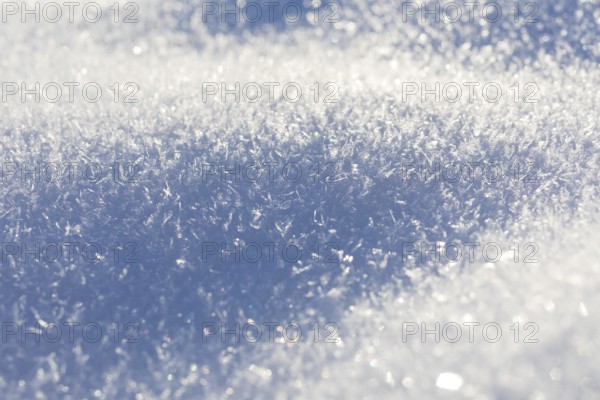 Snow crystals on the surface of a snow cover in winter