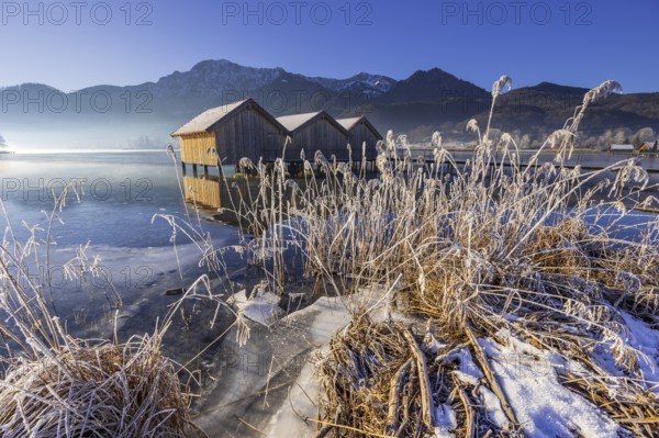 Boat huts, icy shore, lake, morning light, fog, snow, winter, mountains, Lake Kochel, Schlehdorf,