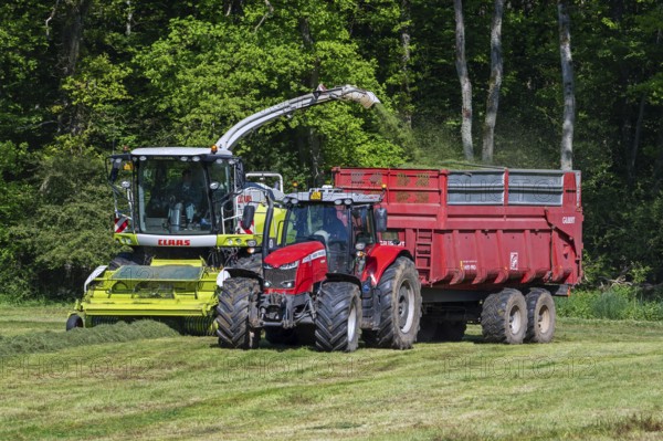 Tractor with trailer running beside Claas Jaguar 870 forage harvester, self-propelled silage