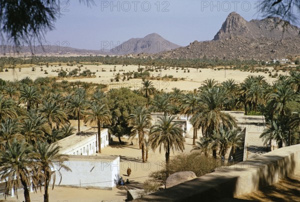 Date palms and buildings of the oasis settlement of Djanet in the Sahara Desert, Algeria, North