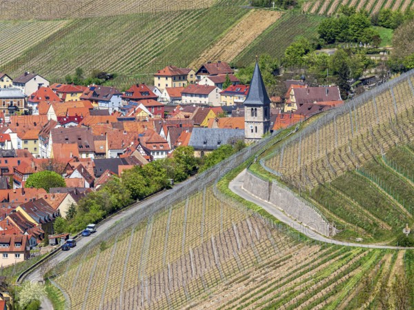 Village Randersacker east of Würzburg surrounded by vineyards, seen from viewpoint terroir f,