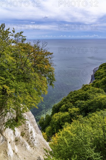 Chalk cliffs of Rügen, Königsstuhl rock formation, in the Jasmund National Park, view of the Baltic