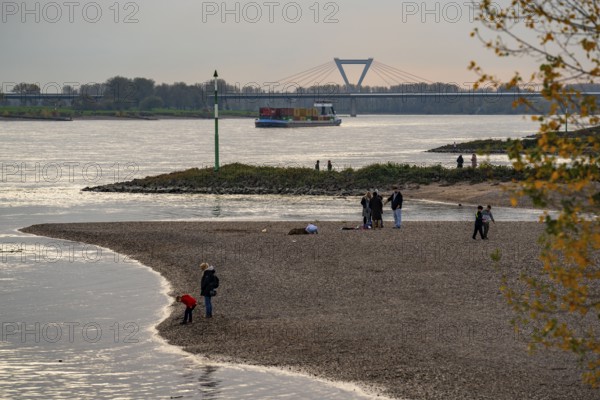 Walkers on the Rhine beach between Düsseldorf and Krefeld, container cargo ship, behind the airport