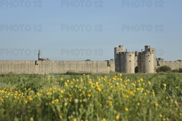 Porte de la Reine, town gate and historic town fortifications with town wall, Aigues-Mortes, Gard,