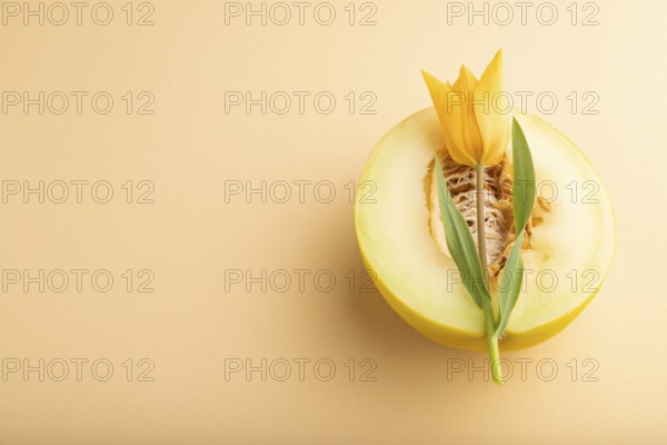Sliced ripe yellow melon and tulip flower on orange pastel background. Side view, copy space.