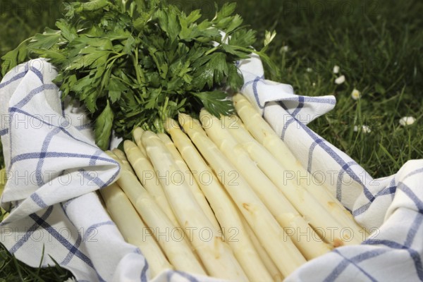 White asparagus decorated in a wooden crate