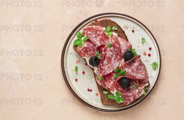 Sandwich, grain bread, with cream cheese and salami, black olives, micro-greens, top view,