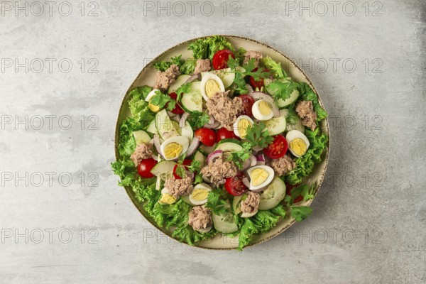 Tuna salad, vegetable salad with quail eggs, lettuce, red onion and cucumbers, on a light gray