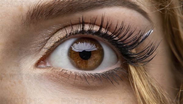 Close-up of a brown eye with long eyelashes and subtle eye make-up, AI generated, AI generated