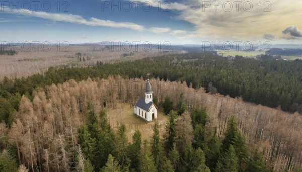 Forest, forest dieback, dead spruces due to drought and bark beetle, small church in the middle of