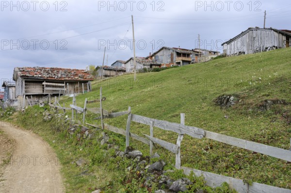 Mountain village on the Karester Yalas plateau, Trabzon, Turkey, Asia