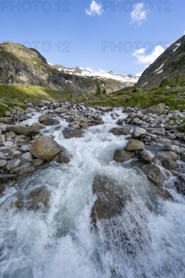 Mountain stream Hornkeesbach, behind mountain peak with snow and glacier Hornkees, Berliner