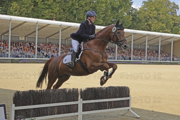 Warendorf State Stud, stallion parade, jumping quadrille