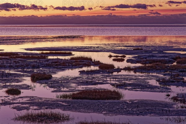 Evening tidal flat landscape shortly after sunset at low tide in the Wadden Sea National Park.