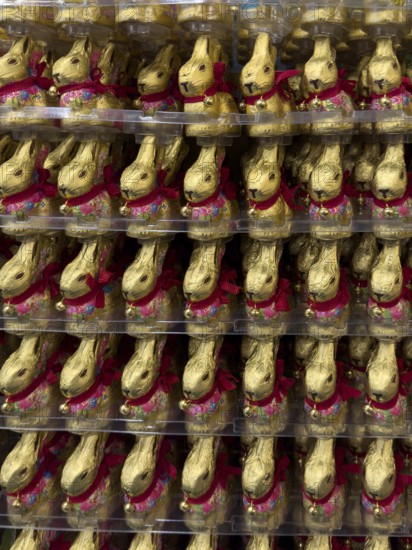 Display in shelf of wholesale of chocolate Easter bunnies Easter bunnies colour gold of red staniol