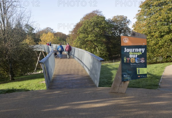 Treetop walkway to Silk Wood, National arboretum, Westonbirt arboretum, Gloucestershire, England,