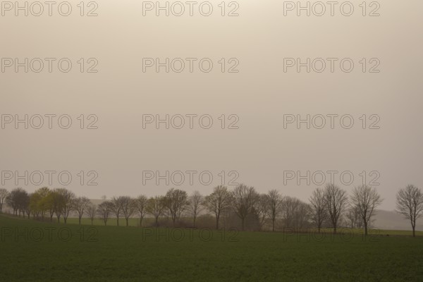 Large quantities of Sahara dust obscure the sun, Cunnersdorf, Saxony, Germany, Europe
