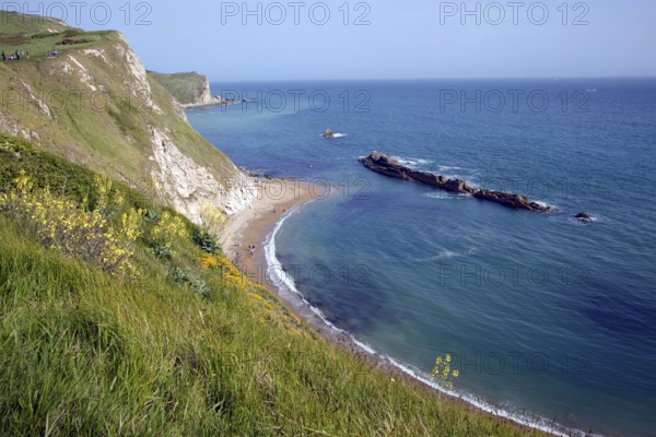 A line of limestone stumps cross Man o' War bay on the Jurassic coast near Lulworth Cove, Dorset,