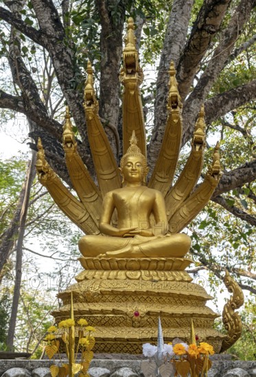 Statue of Mucalinda sheltering Buddha, Phousi or Phu Si Hill, Luang Prabang, Laos, Asia