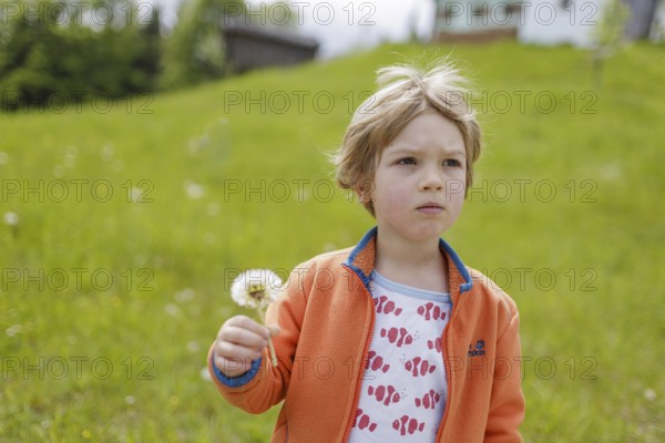 Four year old child with dandelions, Murnau, 19.05.2023