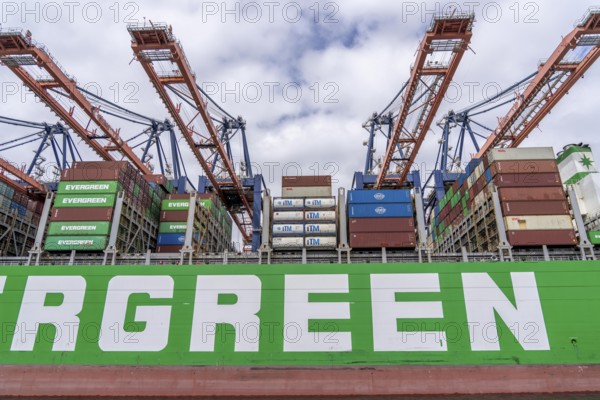 Euromax Container Terminal, container freighter Ever Genius, Evergreen shipping company, being