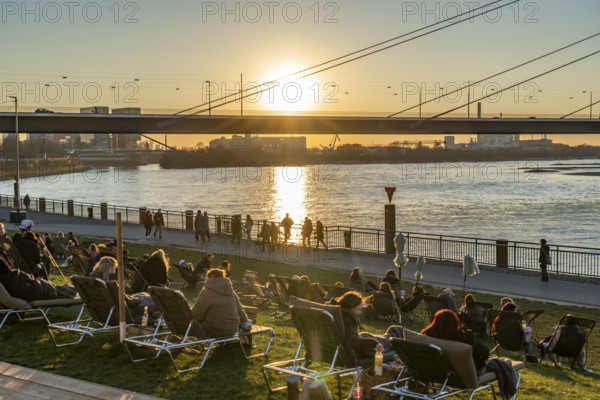 Rhine promenade, city beach, Rhine meadows, banks of the Rhine in the historic city centre of