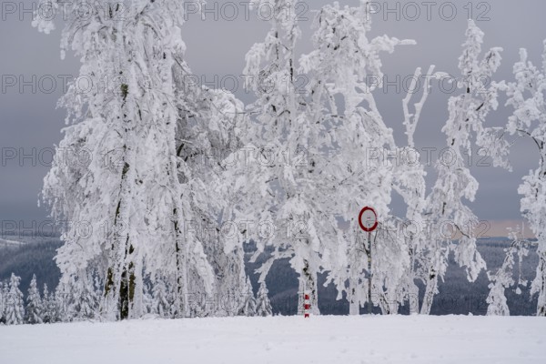 Winter in Sauerland, Hochsauerlandkreis, at Kahler Asten, near Winterberg, few tourists, visitors,