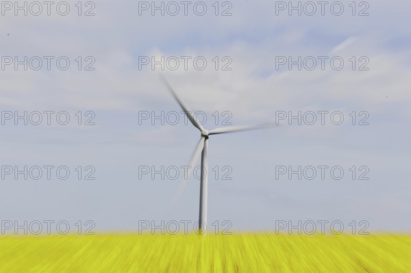 A wind turbine in a rapeseed field, photographed in Vierkirchen, 12/04/2024