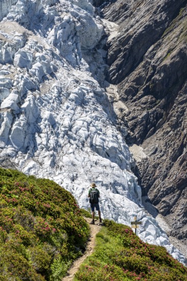 Mountaineer on a hiking trail in front of a glacier, glacier tongue Glacier de Taconnaz, Chamonix,